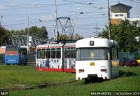 Imagine atasata: IMG_8818.JPG